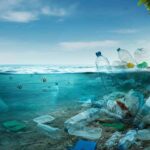 Sostenibilità: le soluzioni concrete di LifeGate per salvaguardare le acque dall'inquinamento da plastica e microplastiche